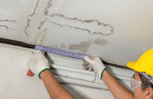 Reliable Mold Remediation contractor in Wanette, OK by Water Damage Irwin